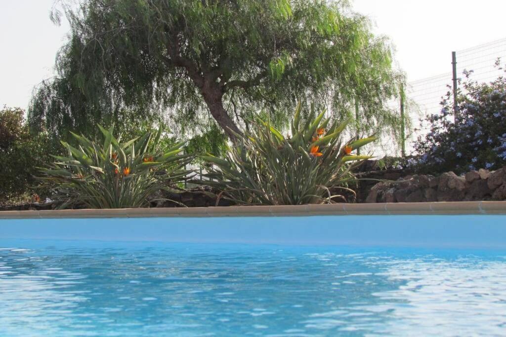 Heated & Shared Pool Villa Matriana 36B, North Shore Villas La Oliva Exterior photo